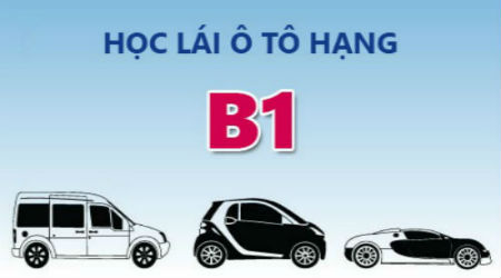 Khóa Học Lái Xe Số Tự Động B11 tại TPHCM